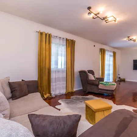 فيلة Elischeba Brkic